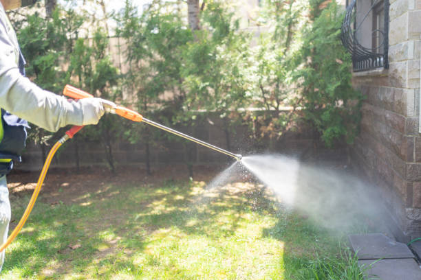 Best Affordable Pest Control Services  in Spring City, UT