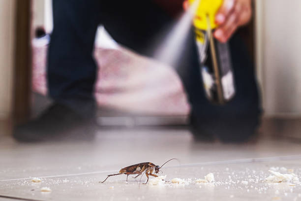 Best Wasp Removal Services  in Spring City, UT